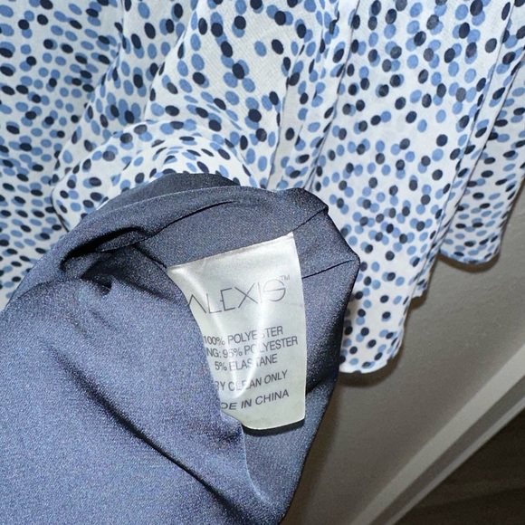 ALEXIS Intermix *Lanelle* blue embroidered navy dot print dress w tassels S - Picture 8 of 9